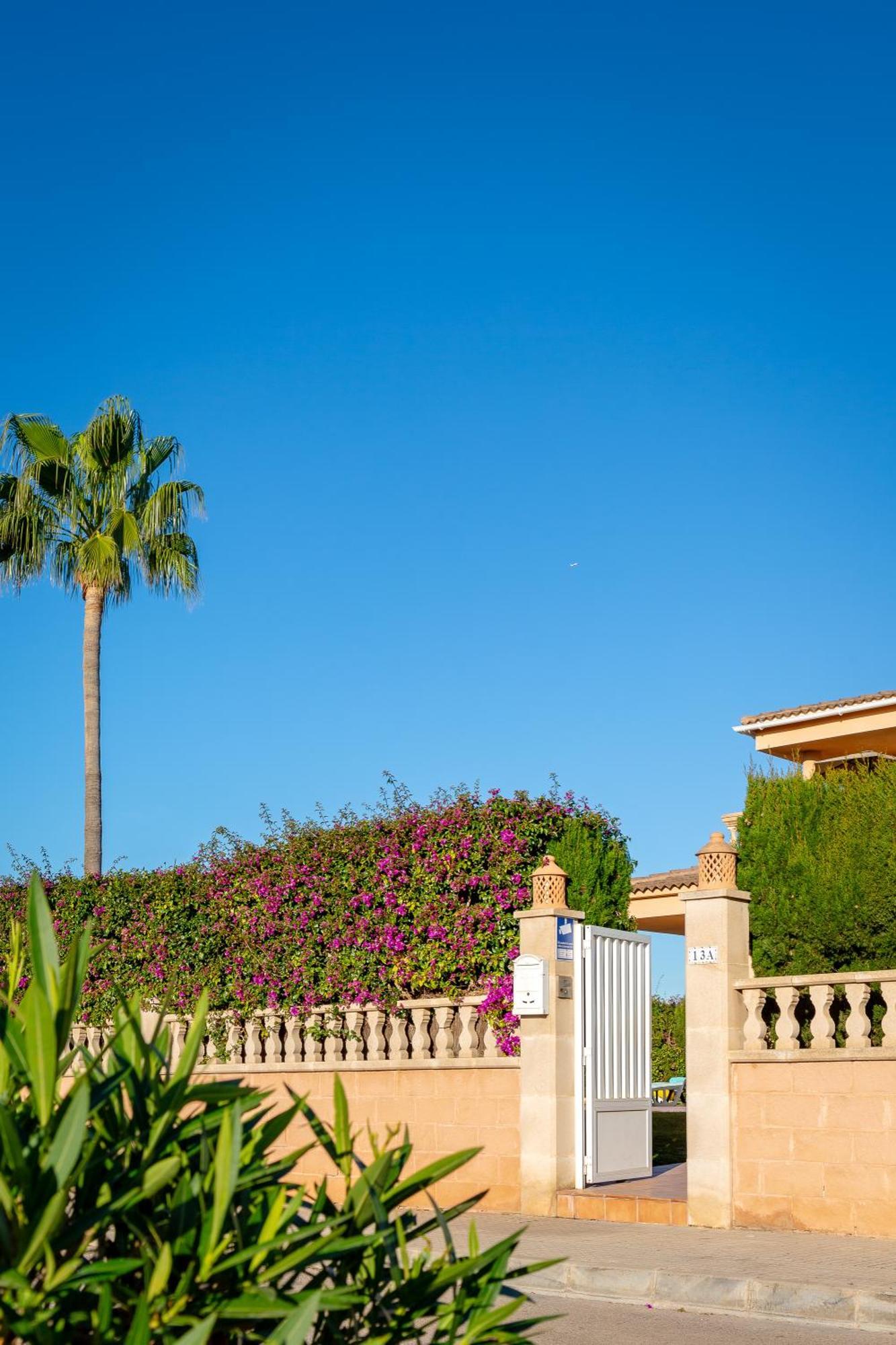 Villa Palmera Πάλμα ντε Μαγιόρκα Εξωτερικό φωτογραφία