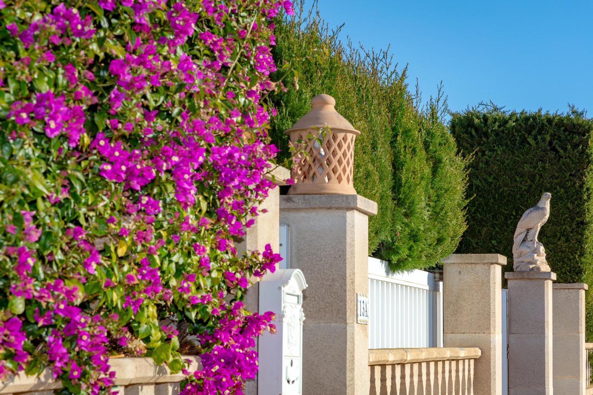 Villa Palmera Πάλμα ντε Μαγιόρκα Εξωτερικό φωτογραφία